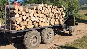 Българите се запасяват с дърва за огрев. Цената двойна